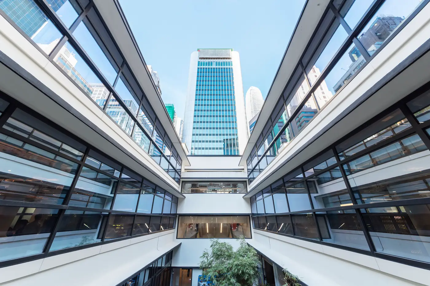 Bright and spacious atrium in a modern office building.