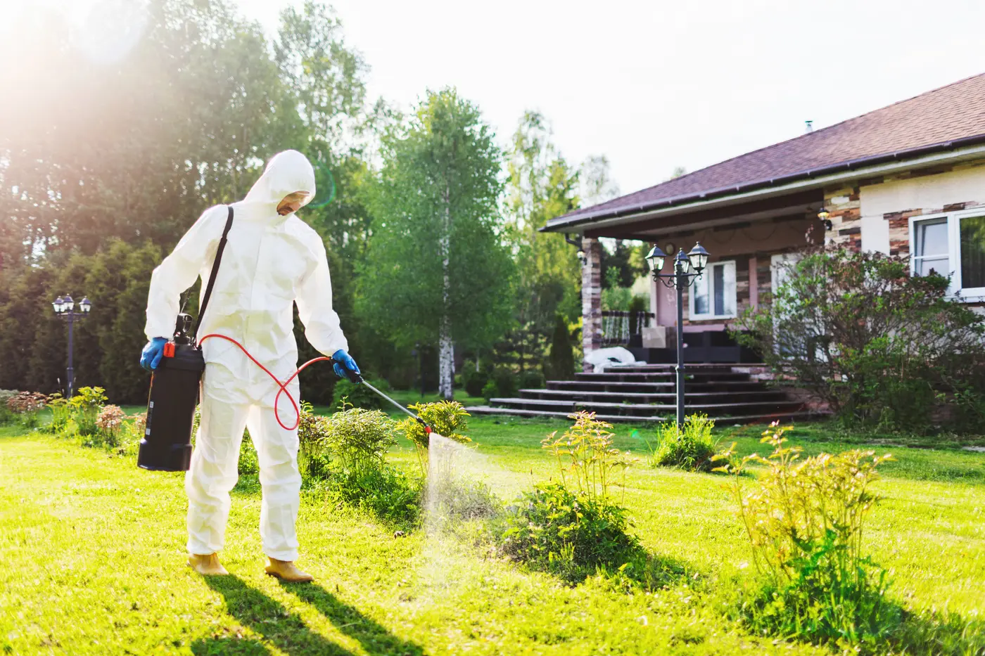 A man wearing a white protective suit sprays grass to prevent pests.