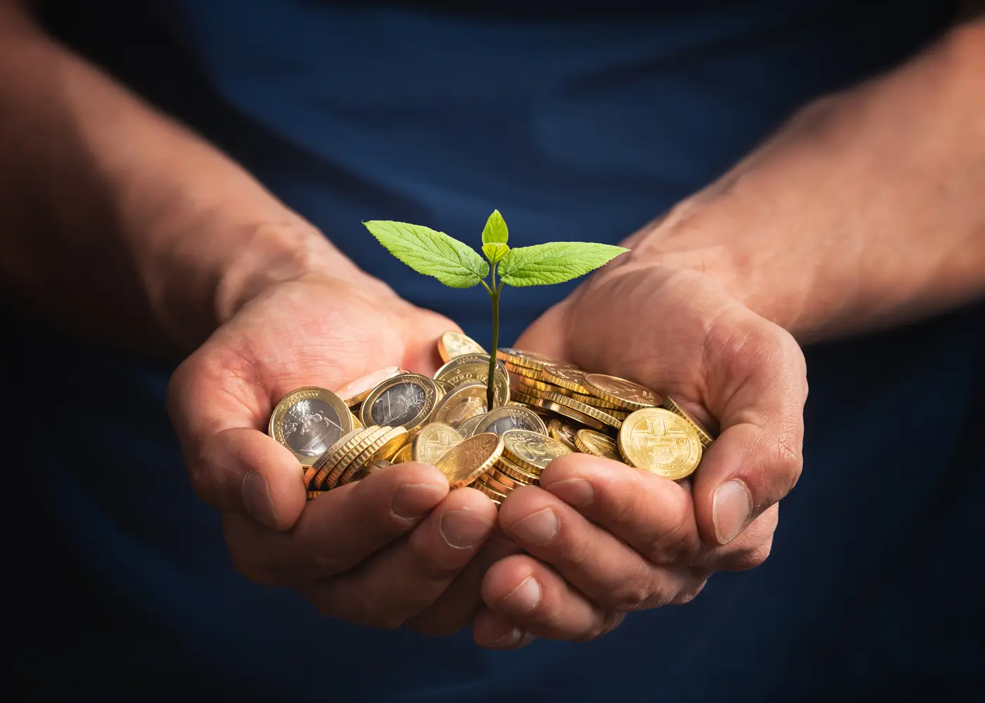 Hands holding a small plant growing out of money. Generational wealth concept.
