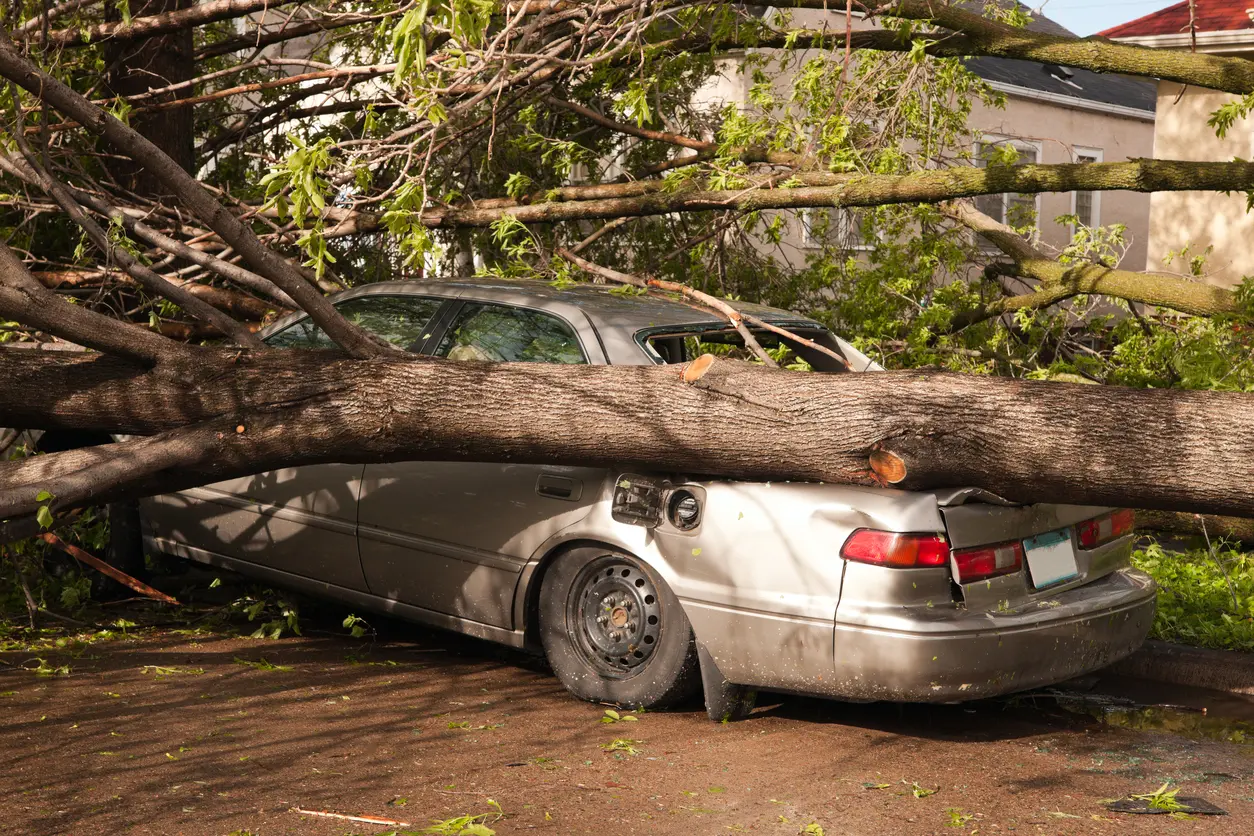 LaPlata Tenant’s Car Damaged by a Natural Disaster
