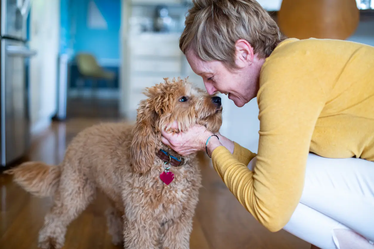 National Harbor Tenant Petting Their Emotional Support Dog