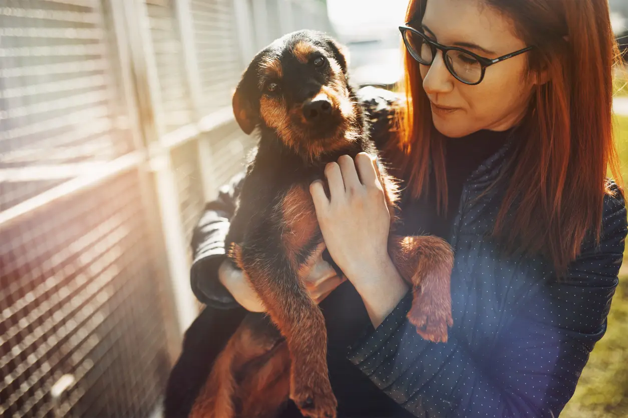 Woman Holding a Rescue Dog